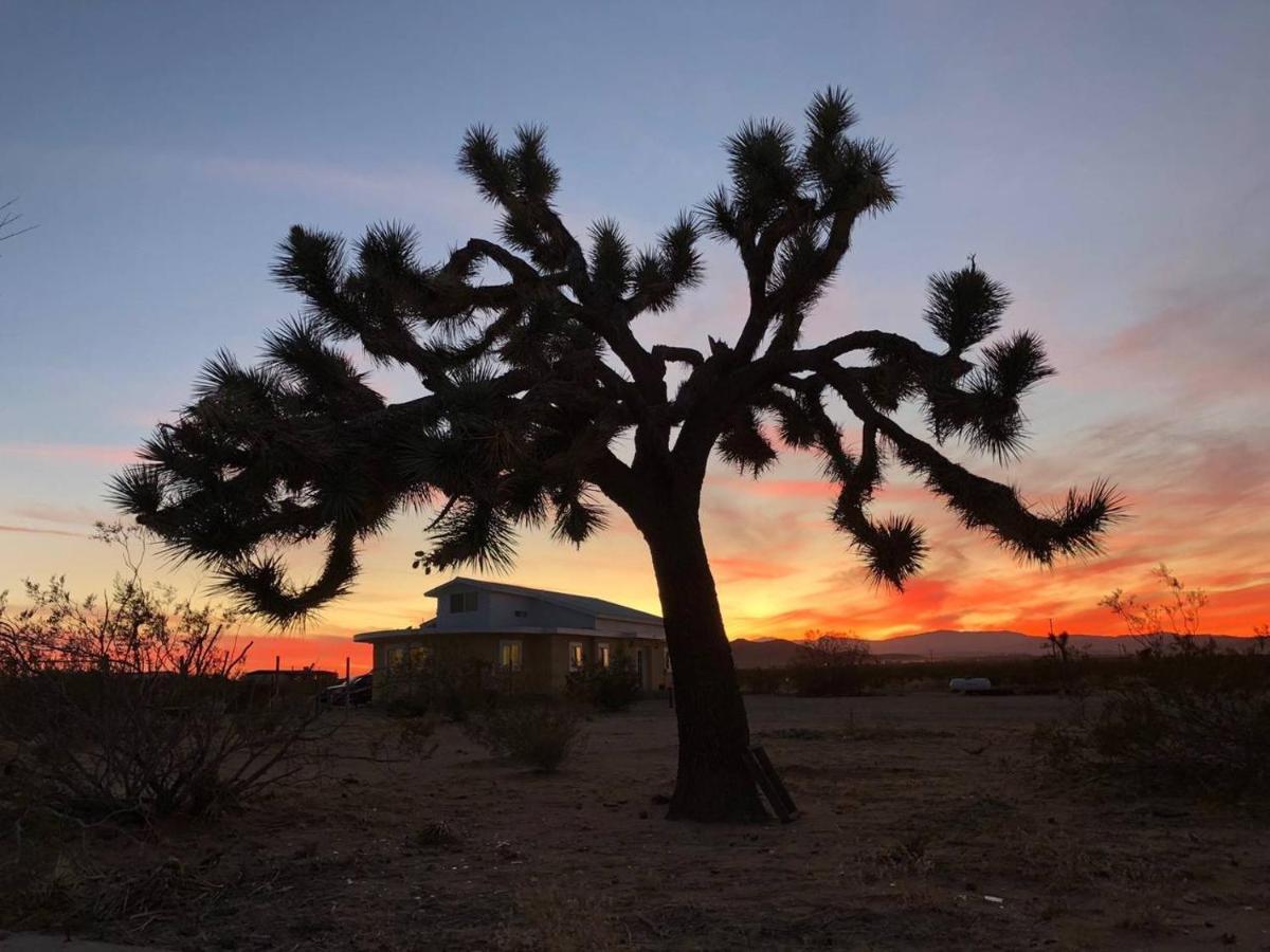Willa The Farmhouse Retreat: 5 Acres, Hot Tub, Sleeps 10, Ac Joshua Tree Zewnętrze zdjęcie